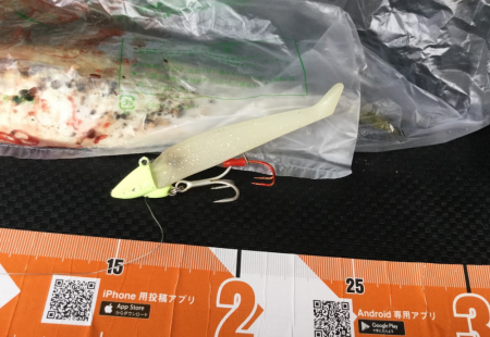 ワインドに鯖がHIT